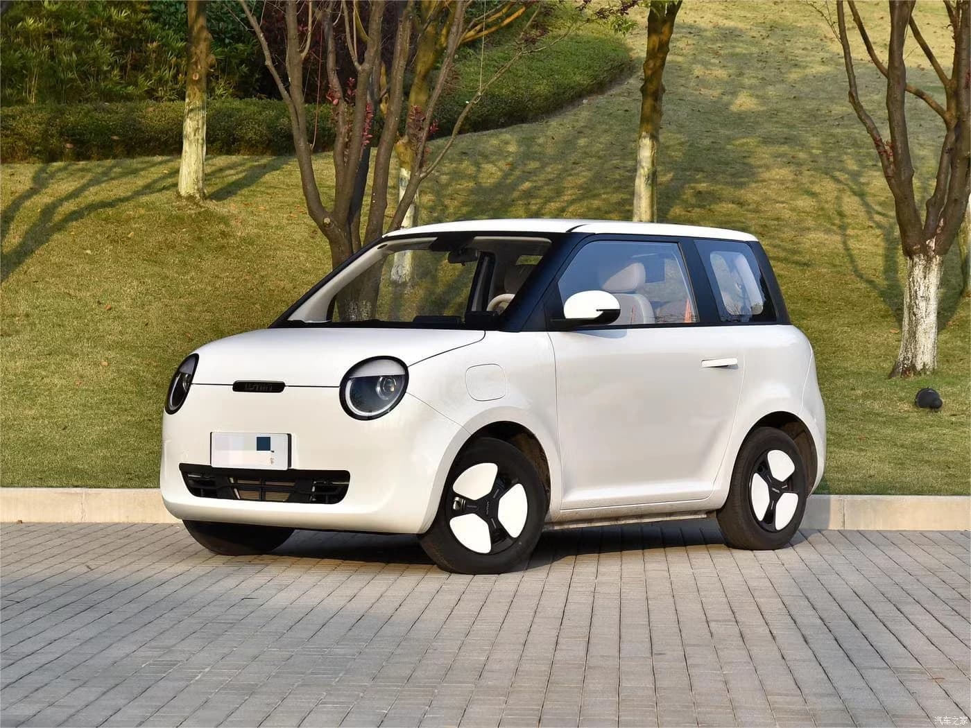 Changan Lumin