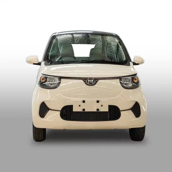 Henrey Mincar EV-1