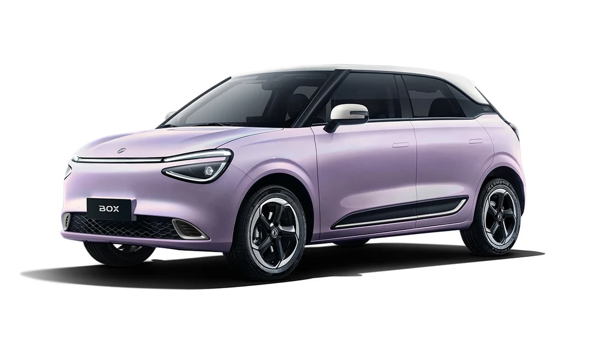 Dongfeng Nammi E2 Dual tone-3