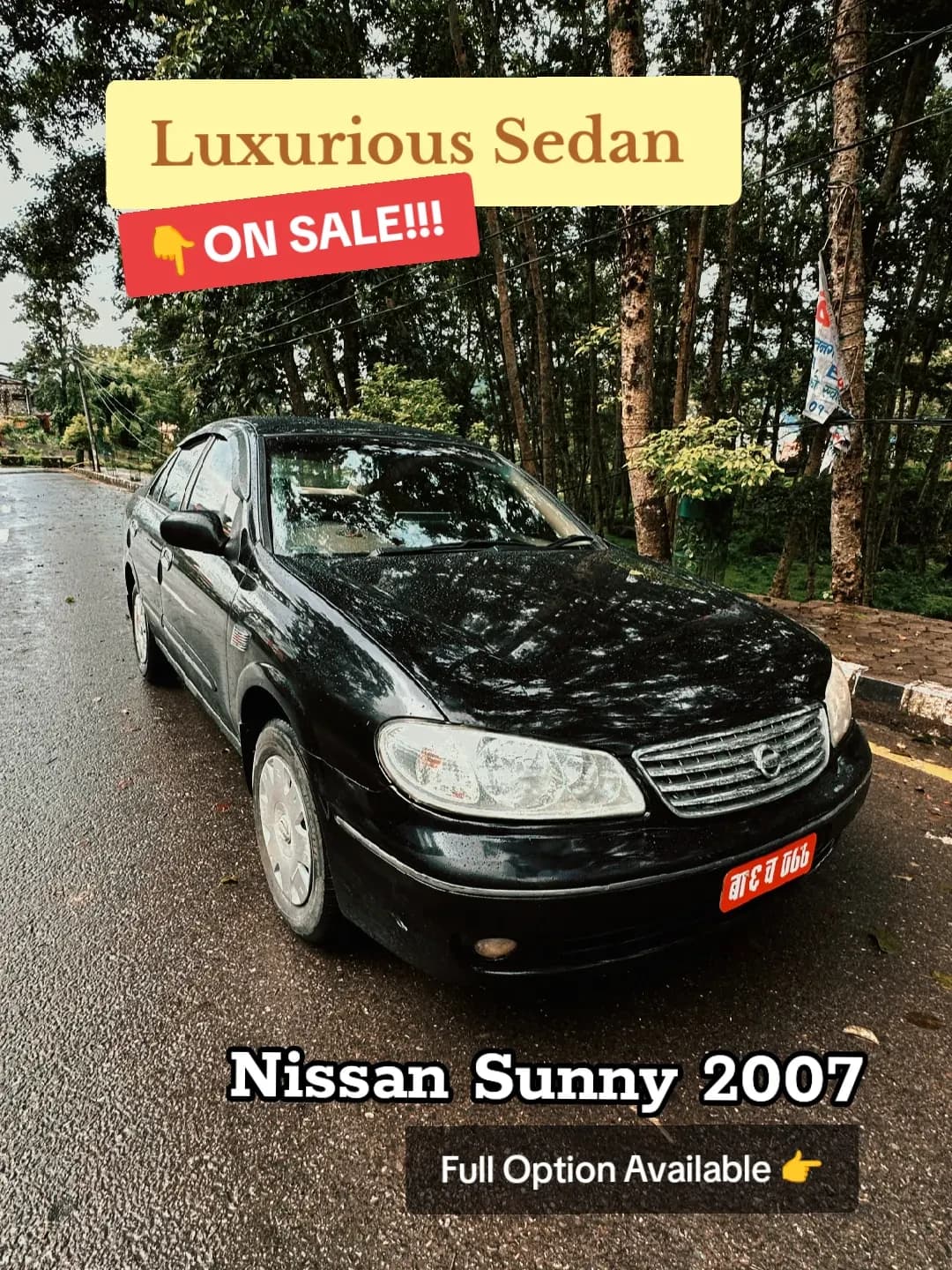 Nissan Sunny Super Saloon