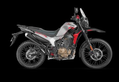Hero Xpulse 210 Base Alpine Silver