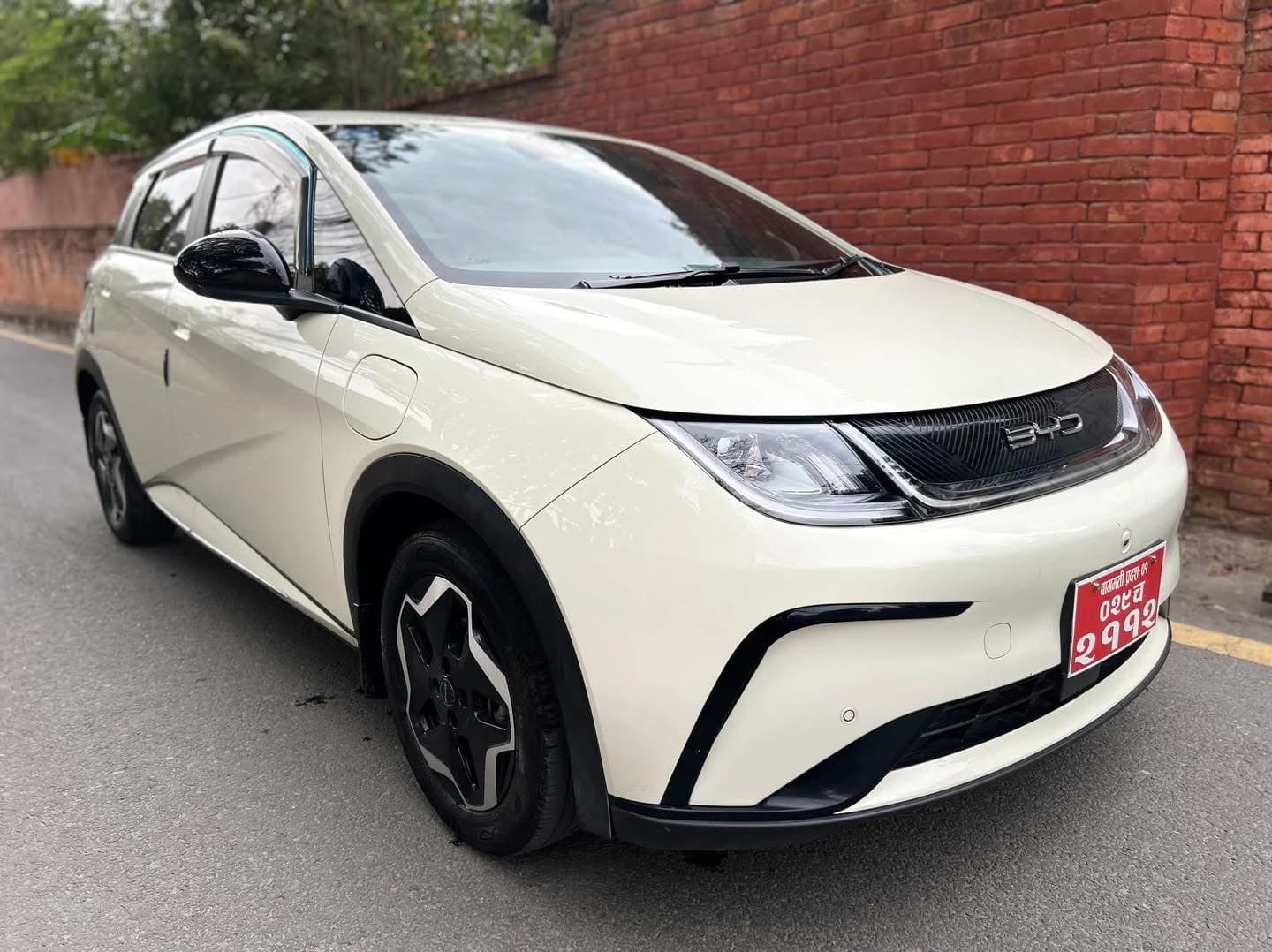 2023 BYD Dolphin