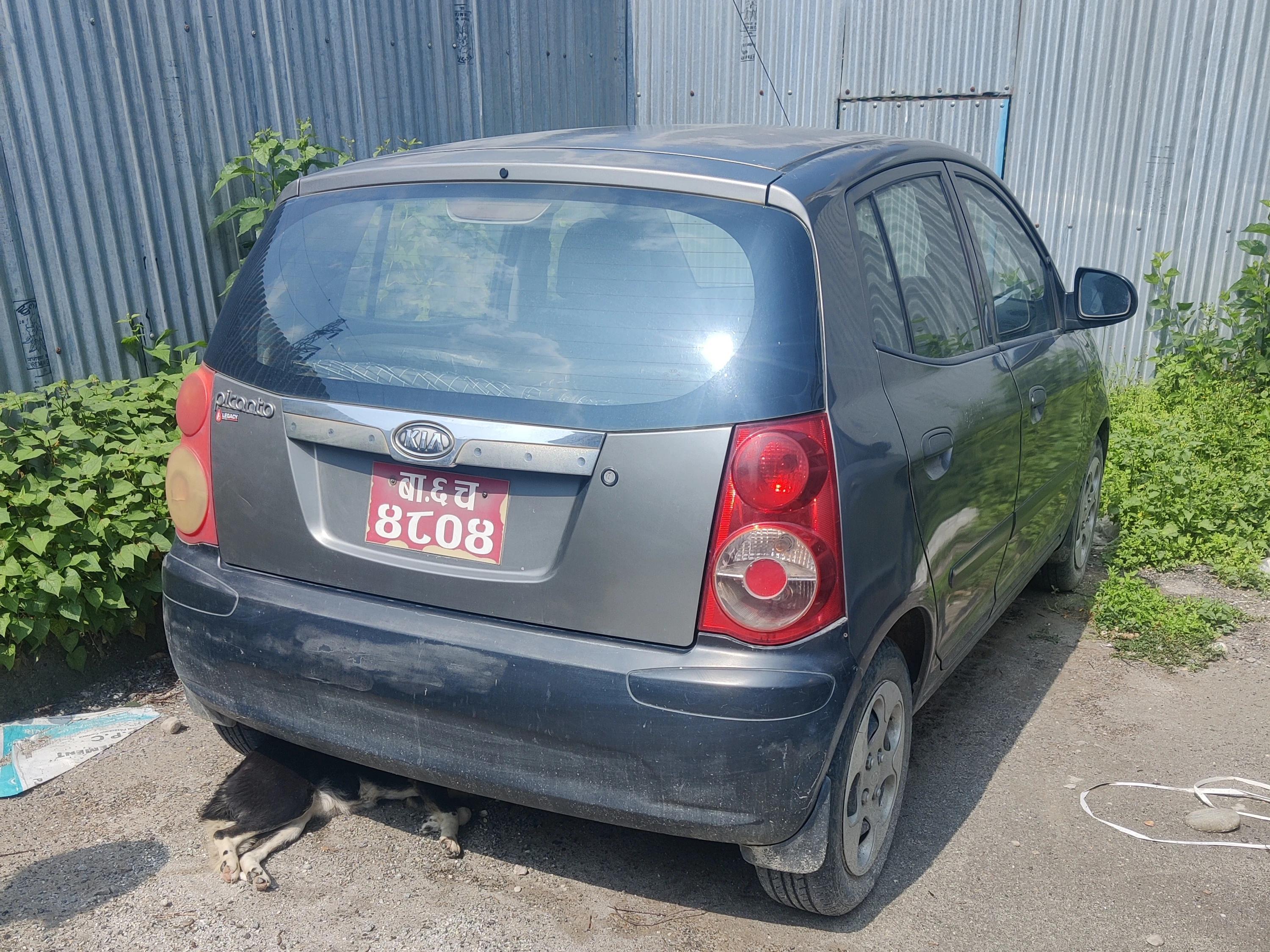 Kia picanto 2008-1