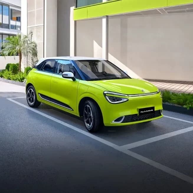Dongfeng Nammi E1