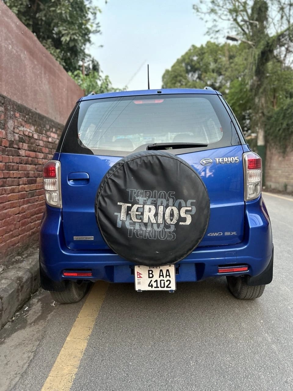 2010 Daihatsu Terios-1