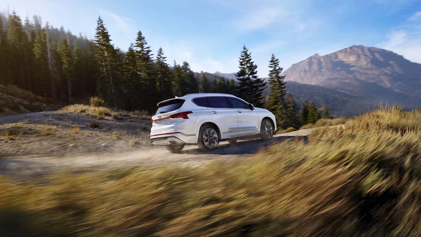 Hyundai Santa Fe-3