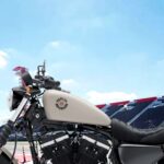 Harley Davidson Iron 883 Fuel Tank