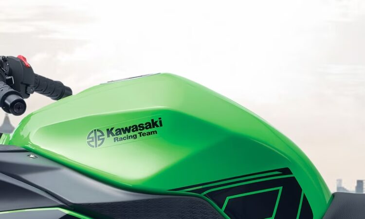 Kawasaki Ninja 300 Fuel Tank